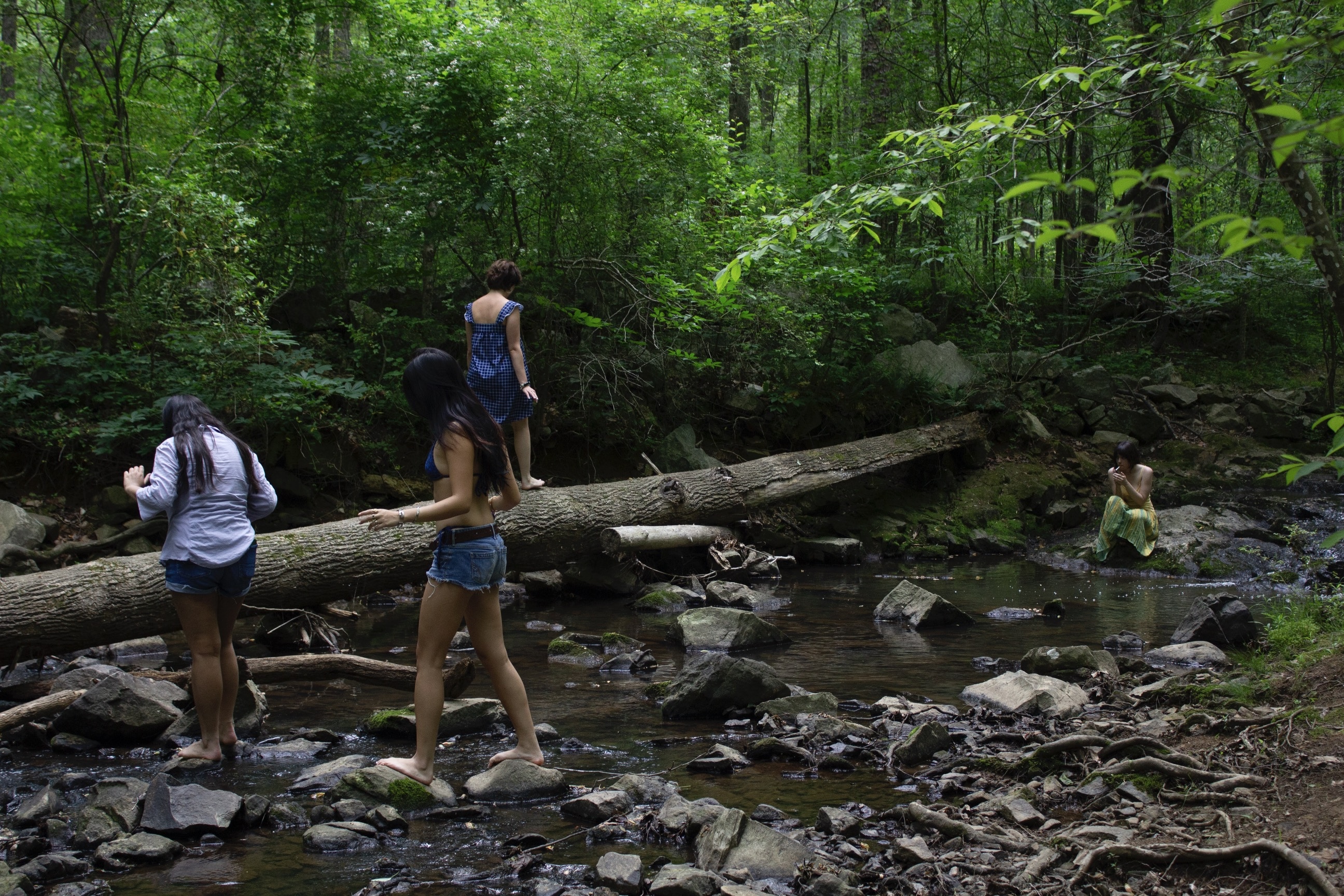 Photo of girls at the creek